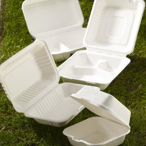 Takeaway Food Boxes